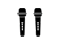 Up to 2 Wireless microphones